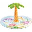 Palm Tree Spray Pool