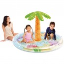 Palm Tree Spray Pool