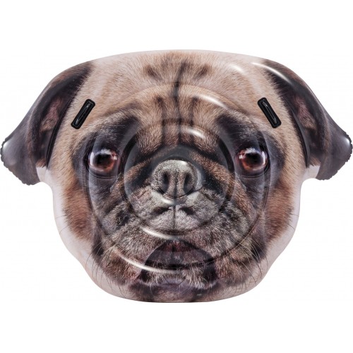 Playful Pug Island