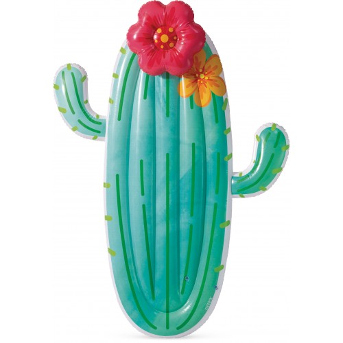 Στρώμα Θαλάσσης INTEX Cactus Float