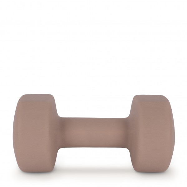 AMILA Neoprene Dumbbell 9Kg