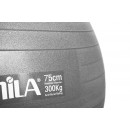 Μπάλα γυμναστικής AMILA GYMBALL 75cm Γκρι