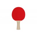 Σετ 2 Ρακέτες Ping Pong & 3 Μπαλάκια 
