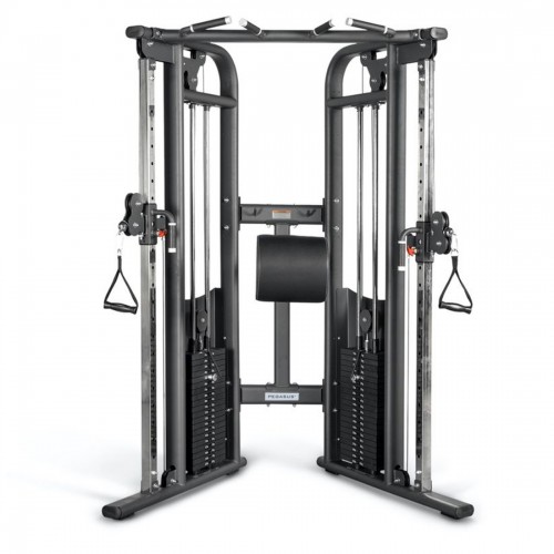 Pegasus® Functional Trainer Pro