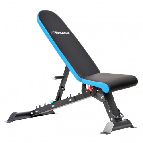 Πάγκος Ρυθμιζόμενος Pegasus® JX-509G (Αναδιπλούμενος) Πάγκος Ρυθμιζόμενος Pegasus® JX-509G (Αναδιπλούμενος)