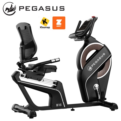 Pegasus® Καθιστό Ποδήλατο B15