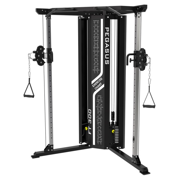 Pegasus® Functional Trainer FT-300