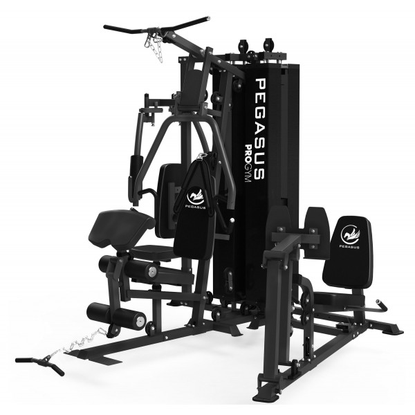 Pegasus® Pro Gym 3 Θέσεων MT-18504-ABC