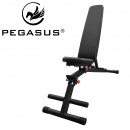 Pegasus® Αναδιπλούμενος Πάγκος FB3i (QJ30)