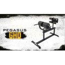 Pegasus® Πάγκος Ραχιαίων GHD