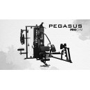 Pegasus® Pro Gym 3 Θέσεων MT-18504-ABC