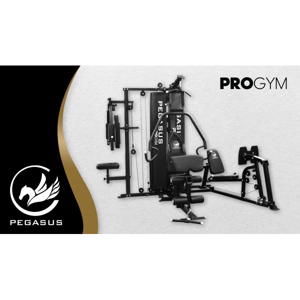 Pegasus® Pro Gym 3 Θέσεων MT-18504-ABC