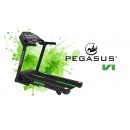 Διάδρομος Γυμναστικής Pegasus® V1 2.5ΗΡ