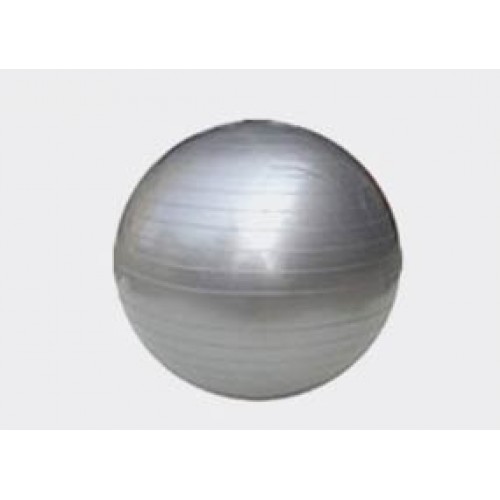 Viking Pilates Ball Φ26 (096)    