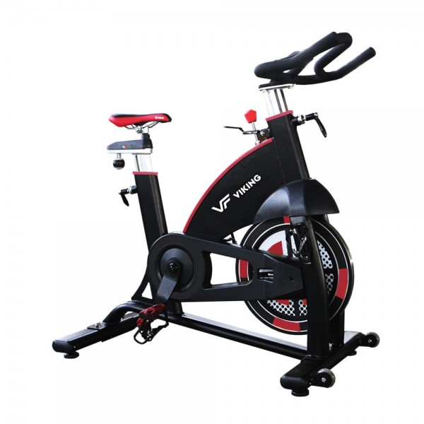 Viking Pro-5 Spin Bike    