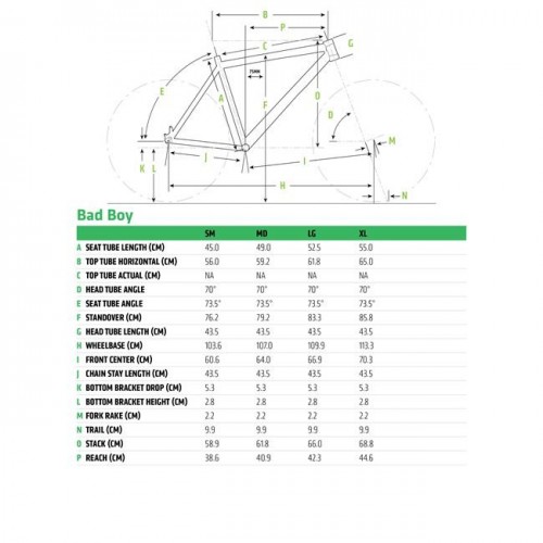 ΠΟΔΗΛΑΤΟ CANNONDALE BAD BOY 1 020-023