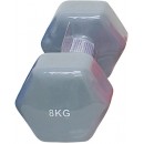 AMILA Vinyl Dumbbell  1Kg